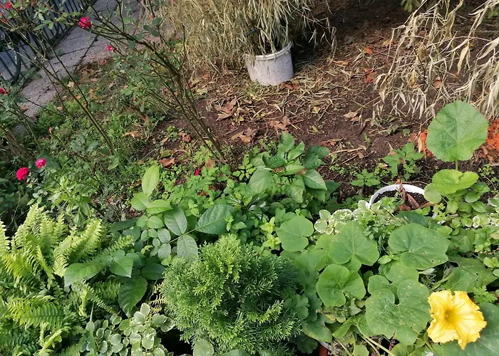Bioparadies